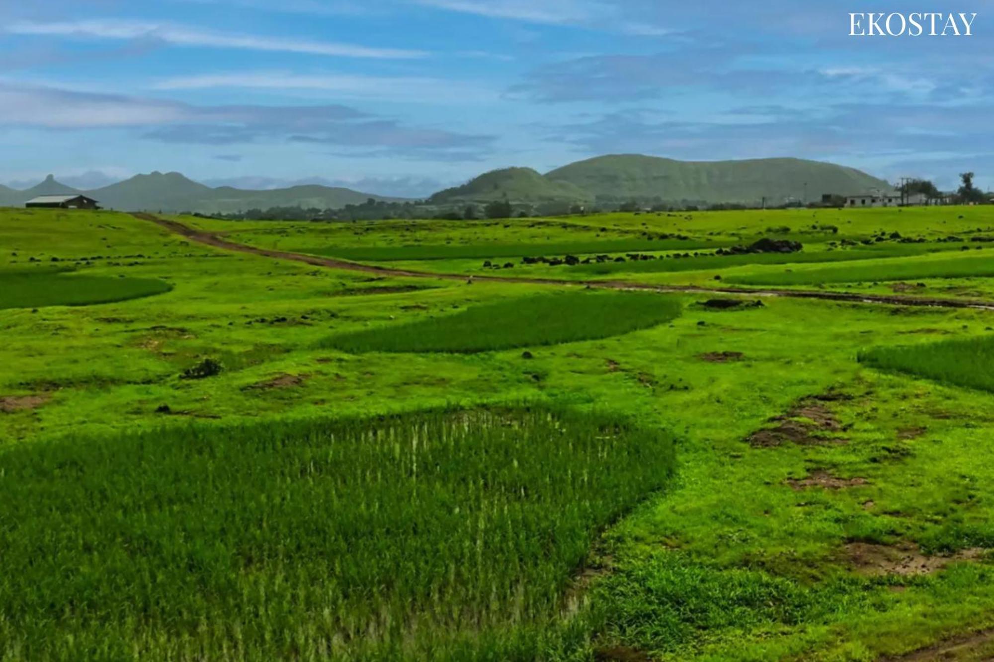 Ekostay - Neptune Villa Igatpuri Ngoại thất bức ảnh