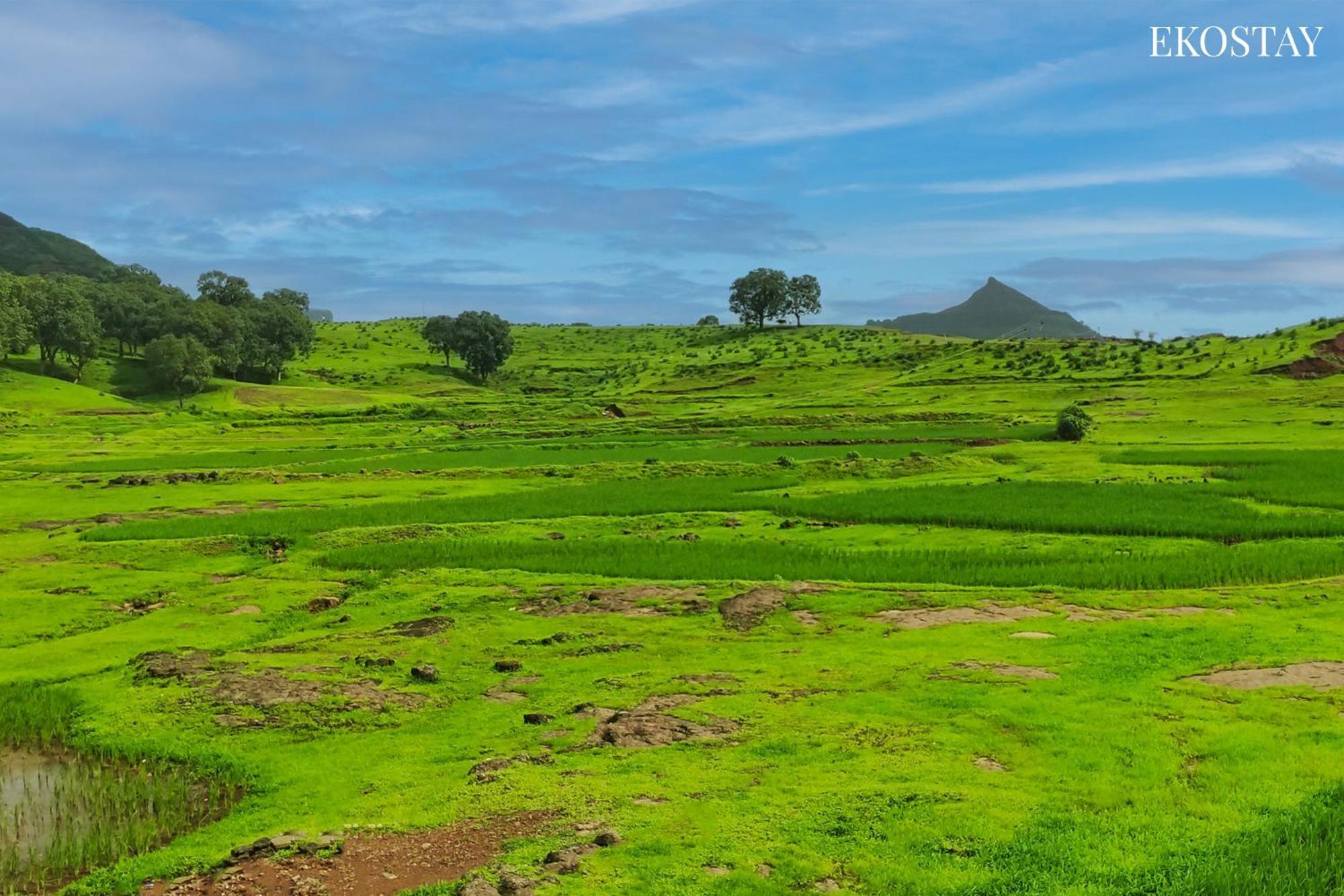 Ekostay - Neptune Villa Igatpuri Ngoại thất bức ảnh